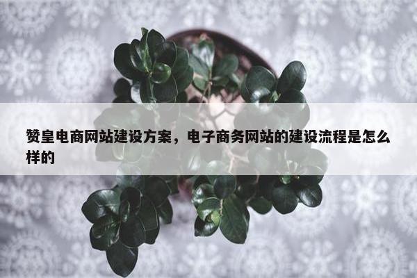 赞皇电商网站建设方案，电子商务网站的建设流程是怎么样的