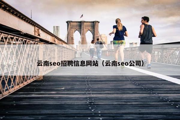 云南seo招聘信息网站（云南seo公司）