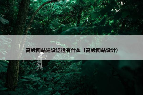 高级网站建设途径有什么（高级网站设计）