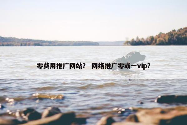 零费用推广网站？ 网络推广零或一vip？