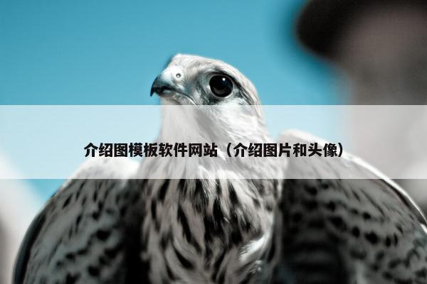 介绍图模板软件网站（介绍图片和头像）