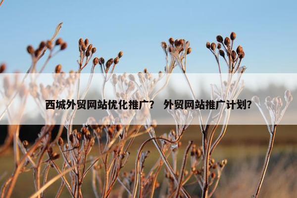 西城外贸网站优化推广？ 外贸网站推广计划？