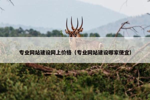 专业网站建设网上价格（专业网站建设哪家便宜）