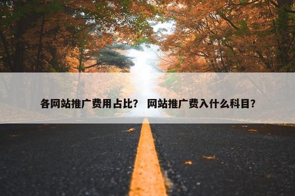 各网站推广费用占比？ 网站推广费入什么科目？