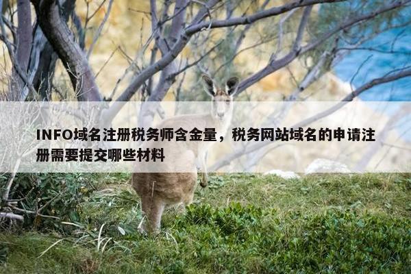 INFO域名注册税务师含金量，税务网站域名的申请注册需要提交哪些材料