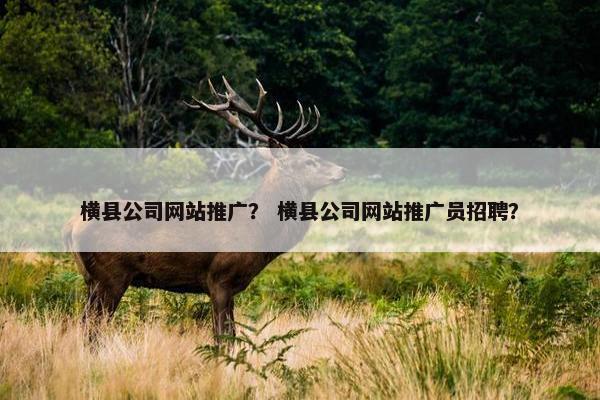 横县公司网站推广？ 横县公司网站推广员招聘？