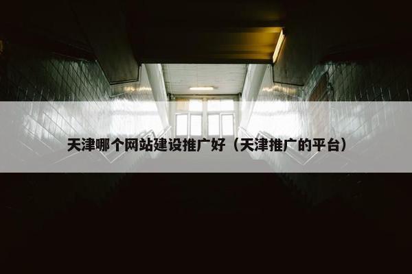 天津哪个网站建设推广好（天津推广的平台）