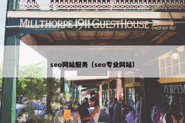 seo网站服务（seo专业网站）