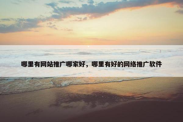 哪里有网站推广哪家好，哪里有好的网络推广软件