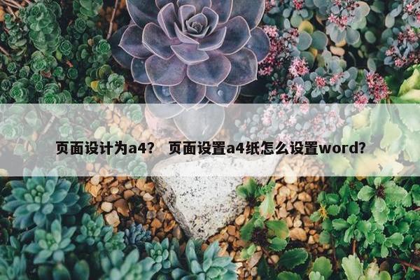 页面设计为a4？ 页面设置a4纸怎么设置word？
