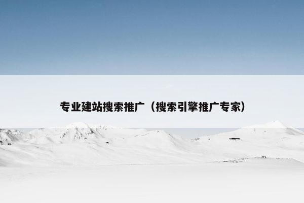 专业建站搜索推广（搜索引擎推广专家）