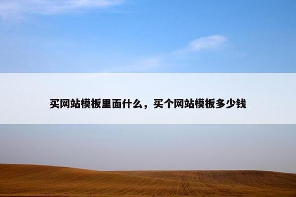 买网站模板里面什么，买个网站模板多少钱