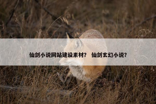仙剑小说网站建设素材？ 仙剑玄幻小说？