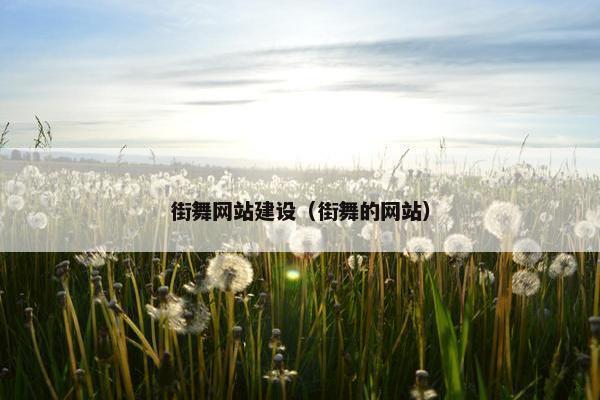 街舞网站建设（街舞的网站）