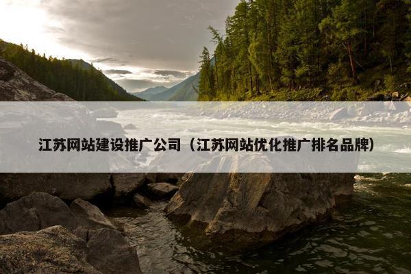 江苏网站建设推广公司（江苏网站优化推广排名品牌）
