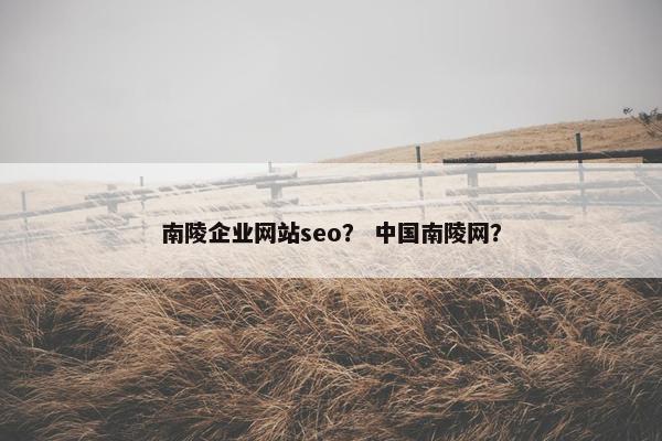 南陵企业网站seo？ 中国南陵网？