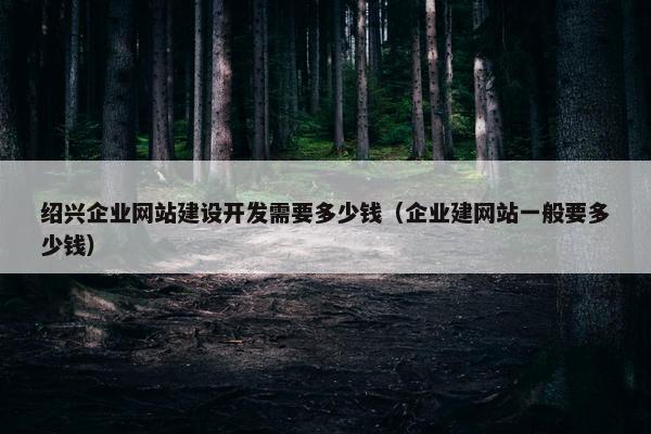 绍兴企业网站建设开发需要多少钱（企业建网站一般要多少钱）