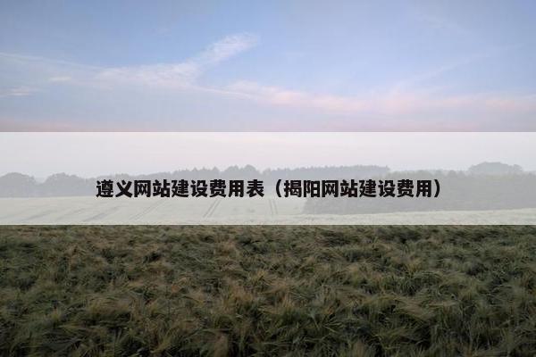 遵义网站建设费用表（揭阳网站建设费用）