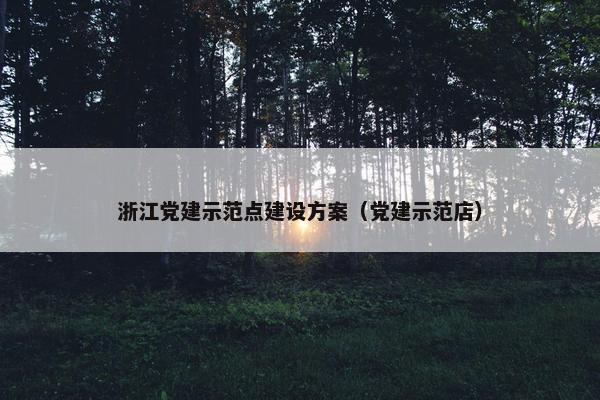 浙江党建示范点建设方案（党建示范店）