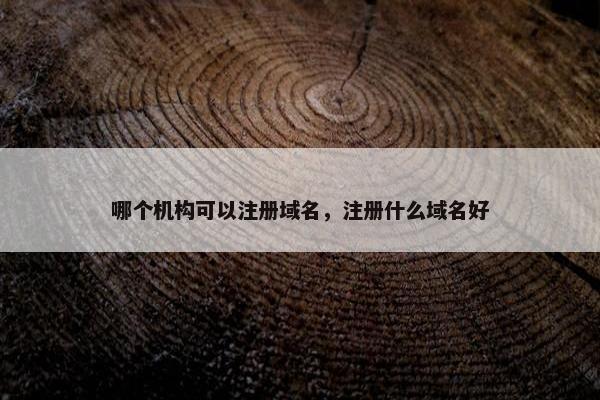 哪个机构可以注册域名，注册什么域名好