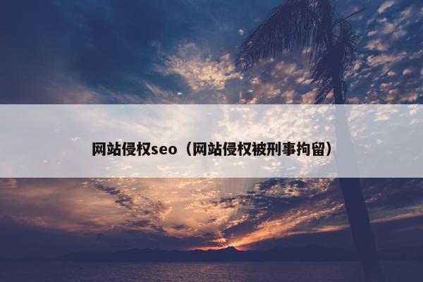 网站侵权seo（网站侵权被刑事拘留）