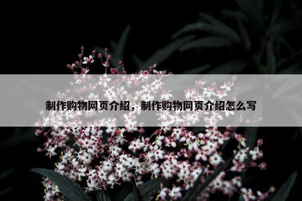 制作购物网页介绍，制作购物网页介绍怎么写