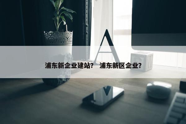 浦东新企业建站？ 浦东新区企业？