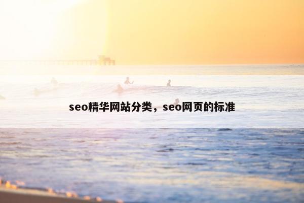 seo精华网站分类，seo网页的标准