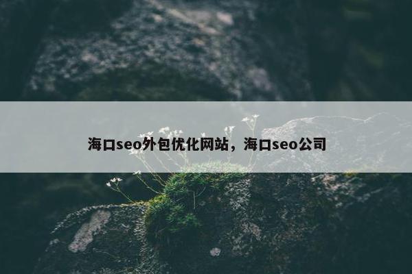 海口seo外包优化网站，海口seo公司