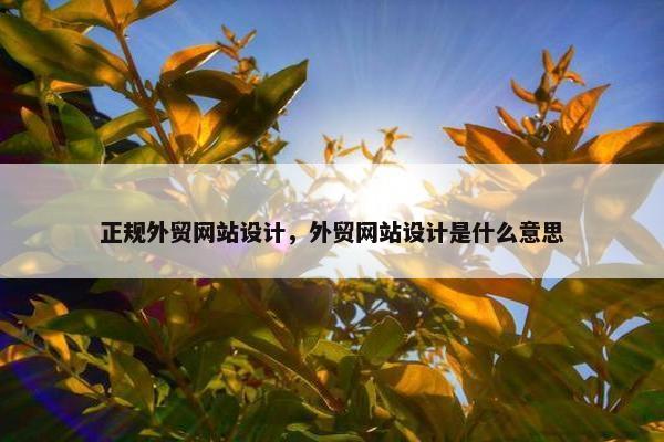 正规外贸网站设计，外贸网站设计是什么意思