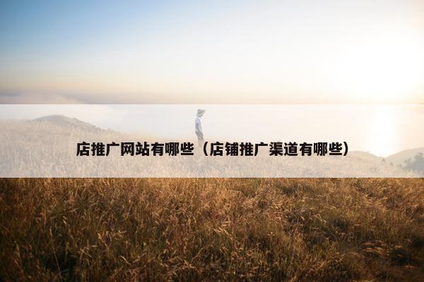 店推广网站有哪些（店铺推广渠道有哪些）