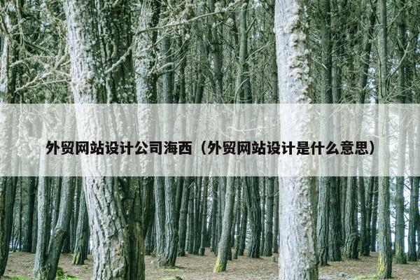 外贸网站设计公司海西（外贸网站设计是什么意思）