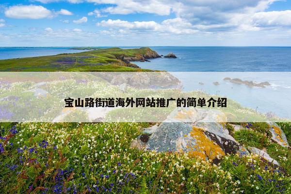 宝山路街道海外网站推广的简单介绍