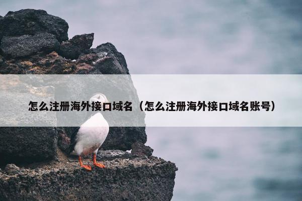 怎么注册海外接口域名（怎么注册海外接口域名账号）