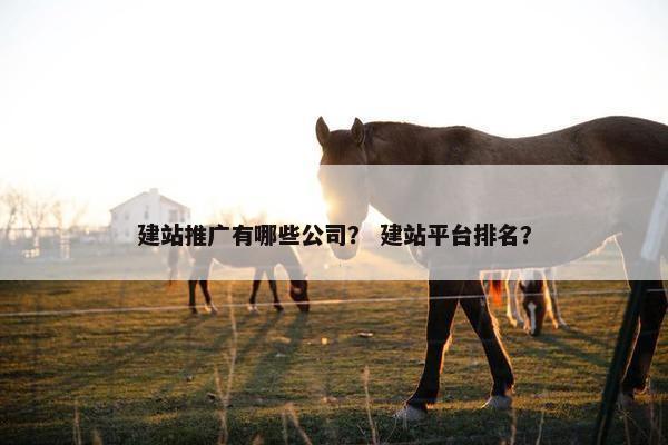 建站推广有哪些公司？ 建站平台排名？