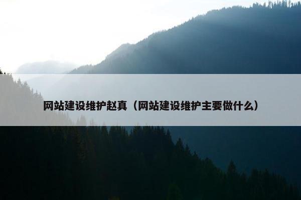 网站建设维护赵真（网站建设维护主要做什么）
