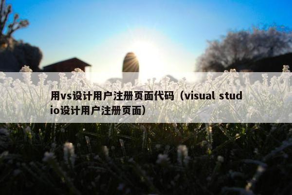 用vs设计用户注册页面代码（visual studio设计用户注册页面）