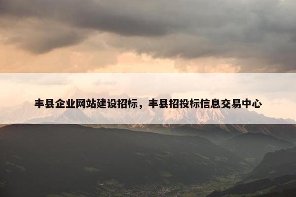 丰县企业网站建设招标，丰县招投标信息交易中心