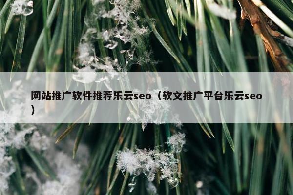 网站推广软件推荐乐云seo（软文推广平台乐云seo）