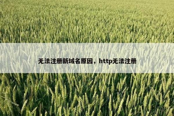 无法注册新域名原因，http无法注册