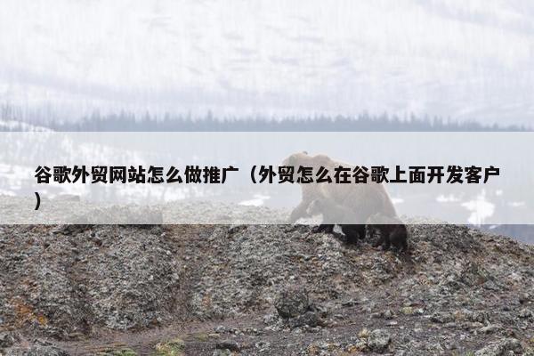 谷歌外贸网站怎么做推广（外贸怎么在谷歌上面开发客户）