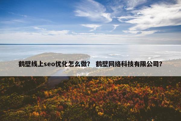 鹤壁线上seo优化怎么做？ 鹤壁网络科技有限公司？
