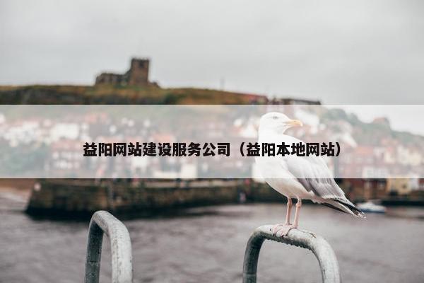 益阳网站建设服务公司（益阳本地网站）