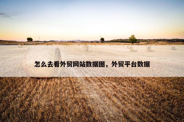 怎么去看外贸网站数据图，外贸平台数据