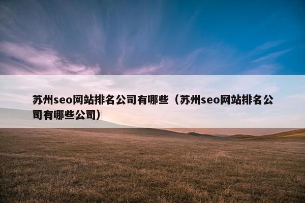 苏州seo网站排名公司有哪些（苏州seo网站排名公司有哪些公司）