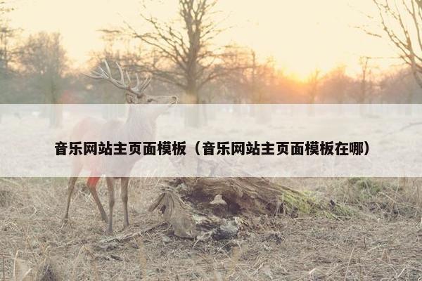 音乐网站主页面模板（音乐网站主页面模板在哪）