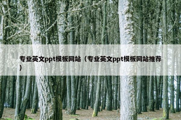专业英文ppt模板网站（专业英文ppt模板网站推荐）