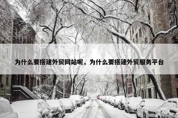为什么要搭建外贸网站呢，为什么要搭建外贸服务平台