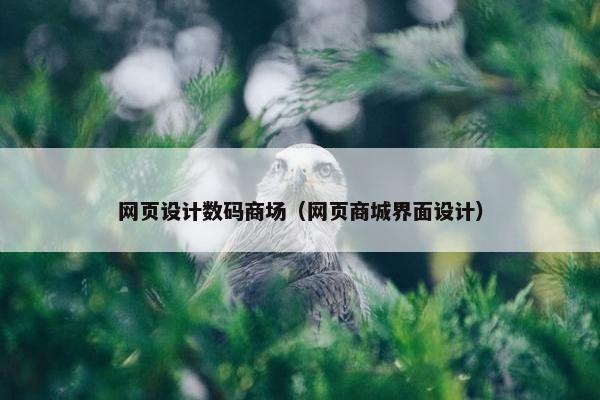 网页设计数码商场（网页商城界面设计）