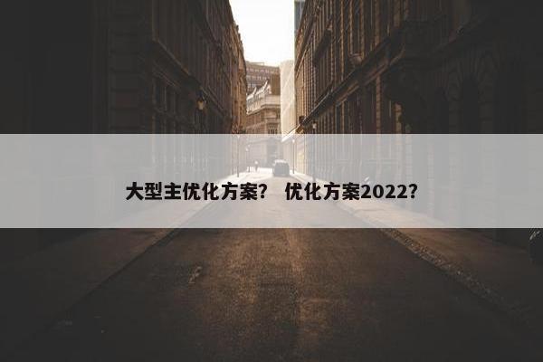 大型主优化方案？ 优化方案2022？